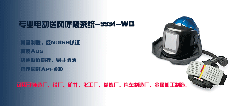 9934-WB 专业型电动送风滤尘呼吸器