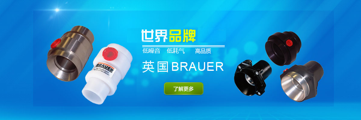 英国BRAUER